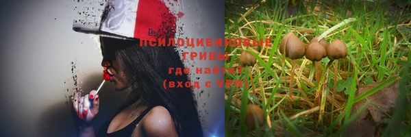 спайс Алексеевка