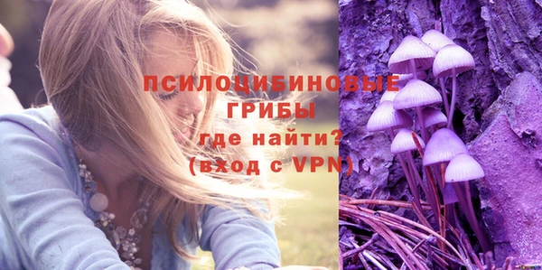 прущие крисы Армянск
