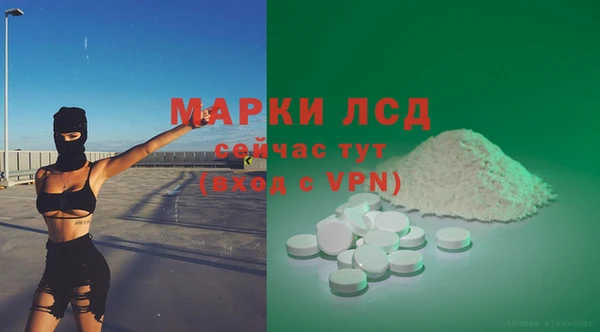 стафф Аркадак