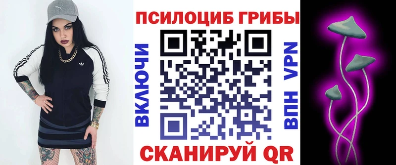 Галлюциногенные грибы Psilocybine cubensis  MEGA ТОР  Ленинск  купить  цена 
