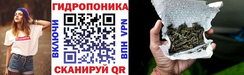 Бошки Шишки гибрид  Ленинск 